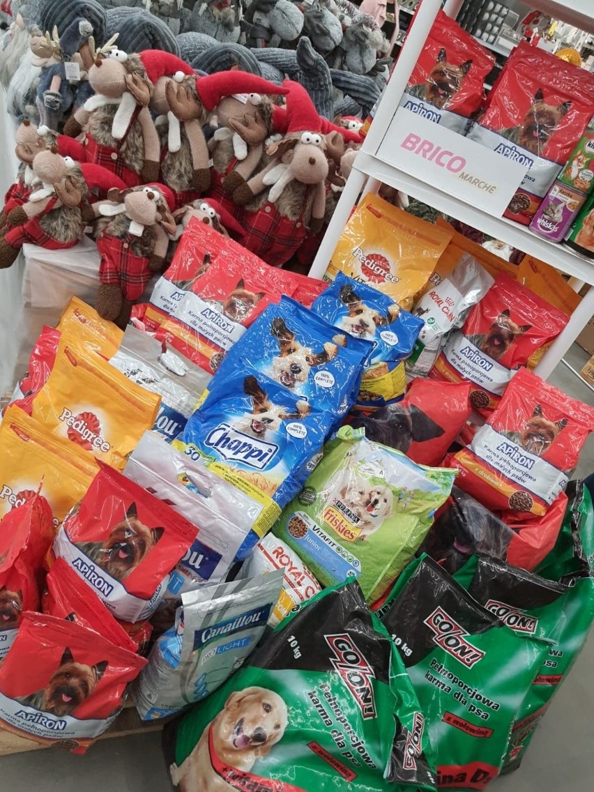 Ponad 200 kg karmy od klientów Bricomarche w Stargardzie dla psów i kotów ze Schroniska dla bezdomnych zwierząt w Kiczarowie