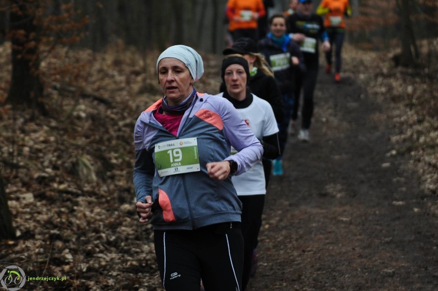 City Trail w Katowicach - zdjęcia z finałowego biegu [28 luty 2016]