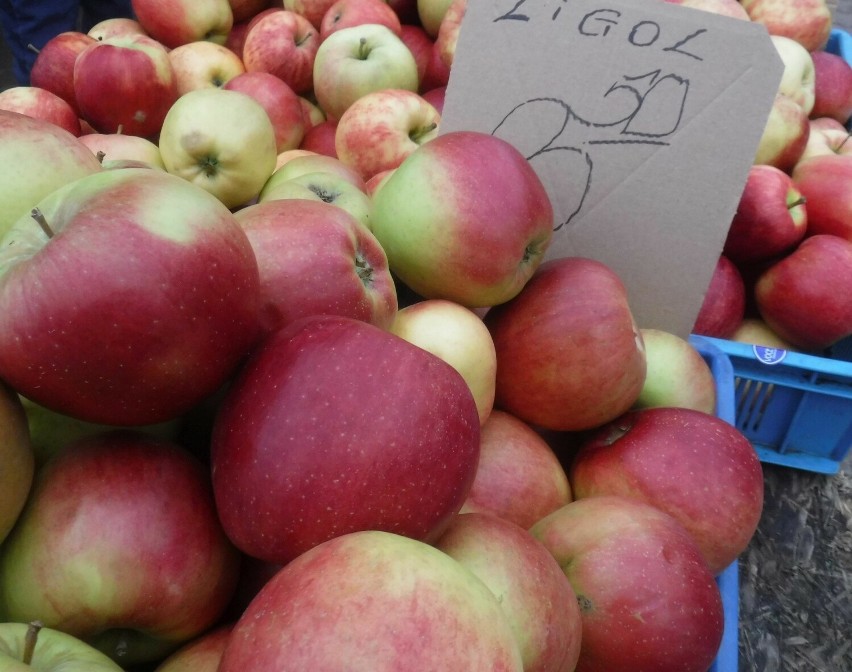 Kilogram jabłek kosztował 3,50