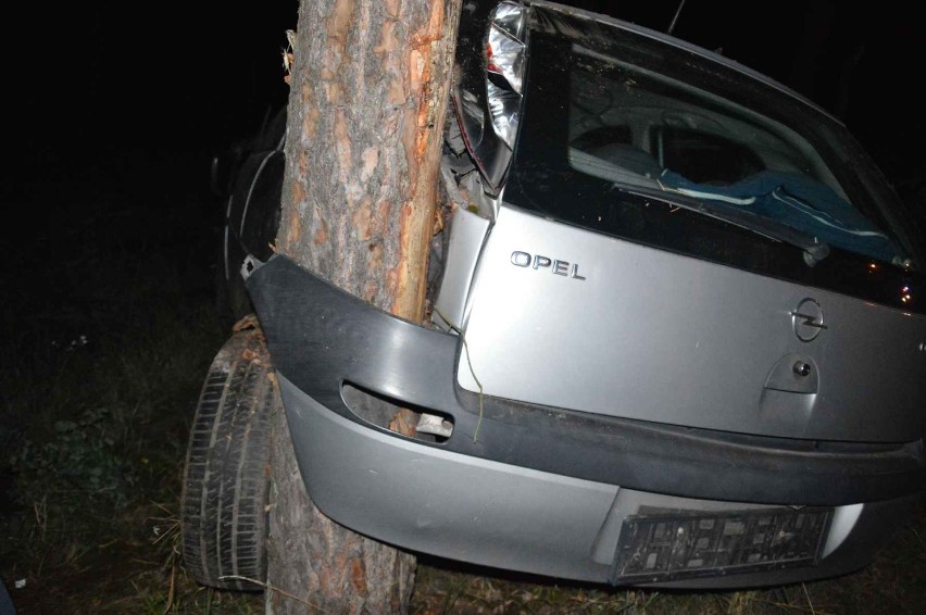 Nieoświetlony 19-letni motorowerzysta spowodował wypadek we Włocławku. Opel uderzył w drzewo [wideo]