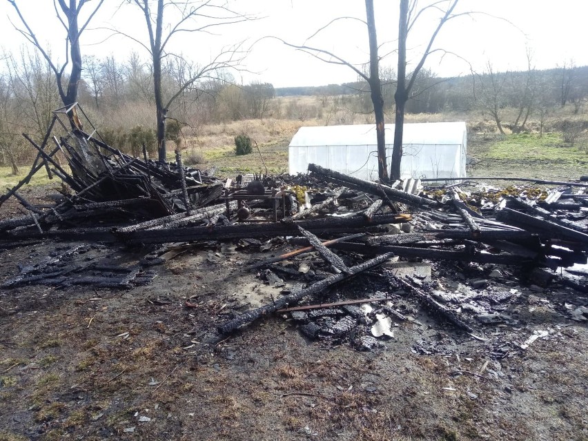 Powiat radomszczański: Strażacy gasili dwa pożary - budynku gospodarczego i suchej trawy