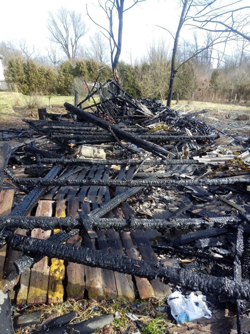 Powiat radomszczański: Strażacy gasili dwa pożary - budynku gospodarczego i suchej trawy