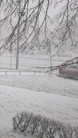 Burza śnieżna w Warszawie. Śmiertelne potracenie w al. Solidarności [ZDJĘCIA, WIDEO]