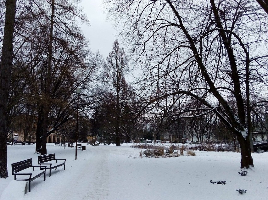 Zobacz zdjęcia naszej Czytelniczki zimowego Parku Inwalidów Wojennych w Rzeszowie