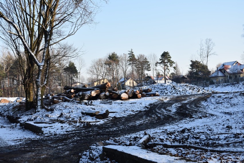 Park Czarna Góra z oazy zieleni zmienia się w betonową pustynię