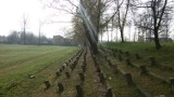 Stadion MKS Dąbrowa niszczeje, a miasto nie ma na niego pomysłu [ZDJĘCIA]