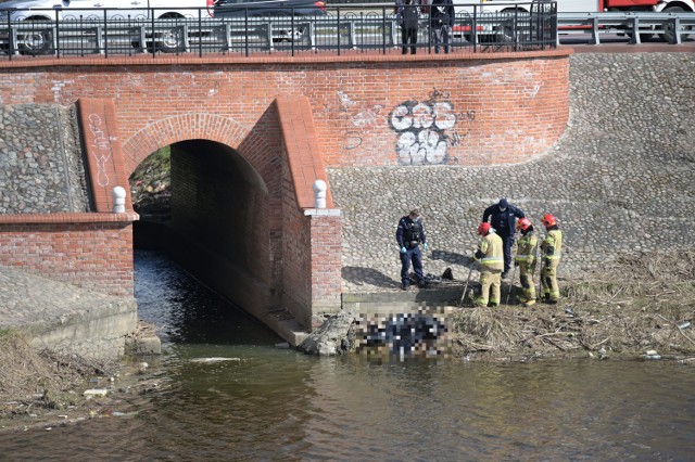 Przy ujściu Rowu Hermana do basenu portowego znaleziono zwłoki człowieka. Policja nadal ustala jego tożsamość