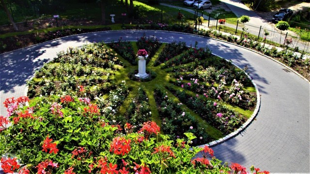 Kolorowe rosarium "Pałacyk" znajduje się przy ul. Pułku Ułanów 11 w Sławnie