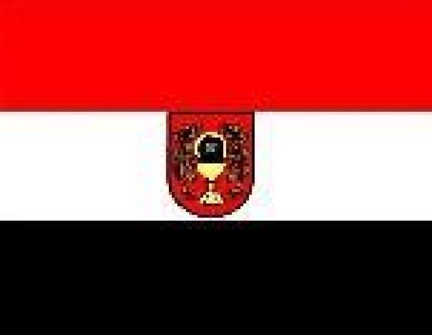 Flaga Łasina
