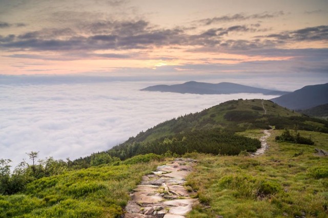 Szlak z Małej Babiej Góry w stronę przełęczy Brona - zdjęcie ilustracyjne