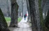 Park przy al.Piłsudskiego w Gdyni. Gdynia przegrywa spór z właścicielami gruntów