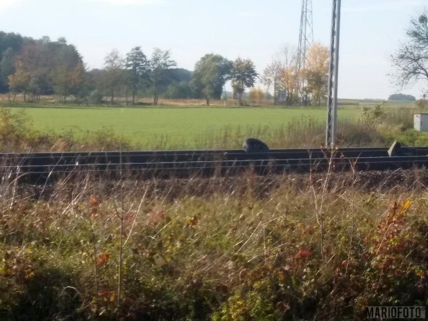 Do wypadku doszło we wtorek około godziny 13.30 na...