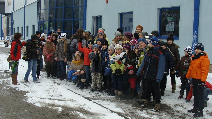 Ferie 2013 w Jastrzębiu-Zdroju: Dzieci w SP 4 na kuligu i lodowisku