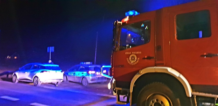 Jawiszowice. Na drodze wojewódzkiej 949 samochód osobowy zderzył się z sarną, która nagle wbiegła na drogę