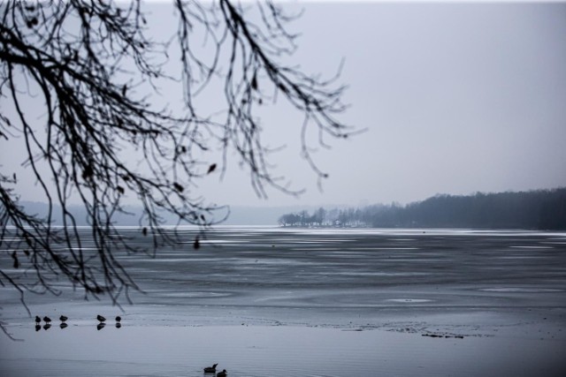 Jezioro Paprocany w zimowej odsłonie