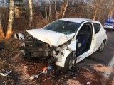 Wypadek na Śląskiej w Rybniku: Kierowca zasłabł i uderzył w drzewo