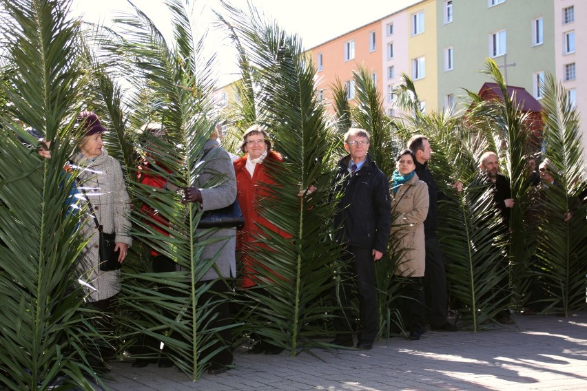 Gdynia: Flesz z przeszłości. 1.04.2012. Arcybiskup Sławoj Leszek Głódź na niedzieli palmowej w Gdyni 