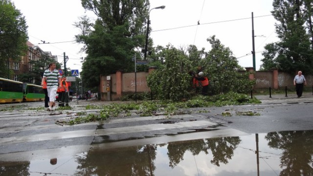 Przewrócone drzewo przy skrzyżowaniu  Zwierzyniecka-Kraszewskiego