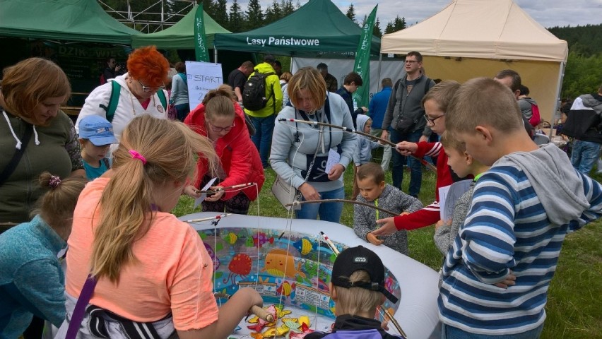 W Boguszowie-Gorcach dobiegły końca „Wakacje z OSiR-em" - wakacyjna akcja dla dzieci