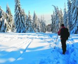 Nie szarżuj, gdy trzyma zima. Idź ścieżką natury