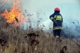 Pożary w gminie Olsztyn to nie przypadek. To robota podpalacza