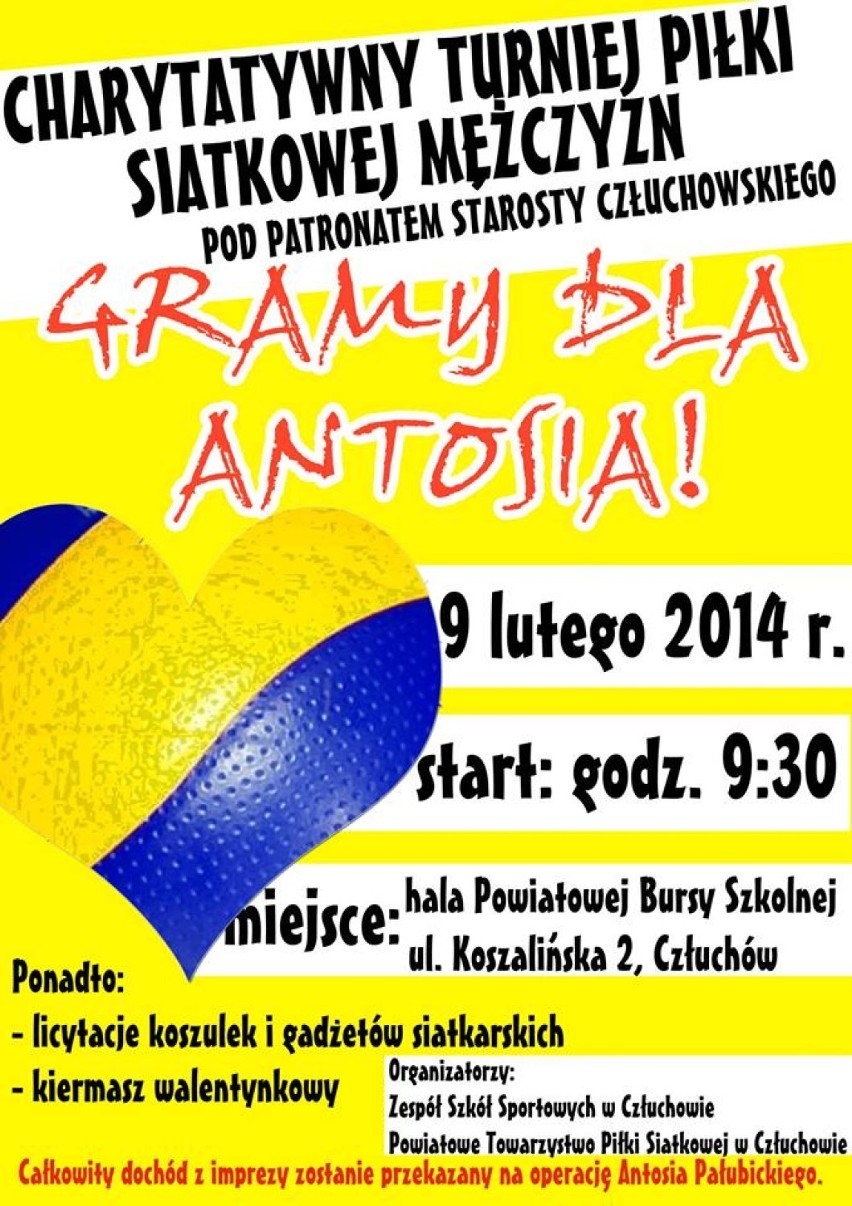 Koncert charytatywny zagrali w sobotę, w niedzielę zagrają turniej siatkarski. Uratujmy Antosia!