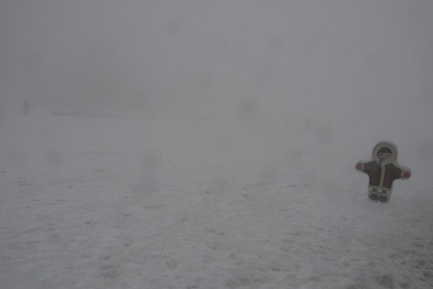 Deszcz, mgła i temperatury na lekkim plusie. Pogoda nie...