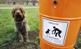 Wrocław: Mieszkańcy sami uzupełniają worki na psie odchody