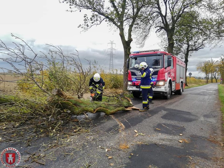 OSP Wysoka w akcji. Usuwanie skutków wichury na terenie...