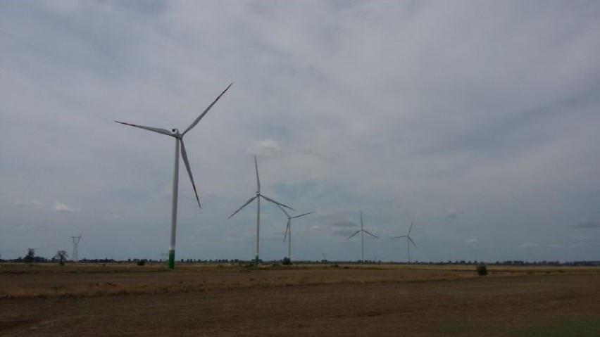 Najnowocześniejsza farma wiatrowa w Europie powstała na Żuławach