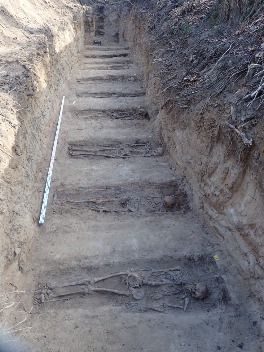 Szczątki ponad 300 niemieckich żołnierzy ekshumowano w Nysie