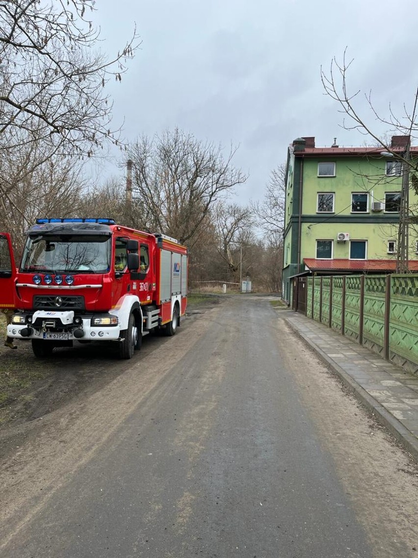 Na miejscu przy ul. Słodowskiej we Włocławku pojawiła grupa...