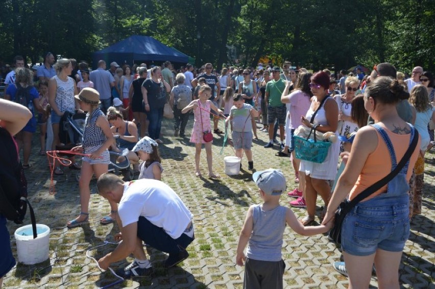 Festiwal Baniek Mydlanych i Kolor Fest przyciągnęły tłumy do Parku Miejskiego w Wejherowie [ZDJĘCIA]