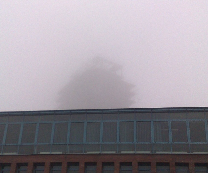 Szkieletor jest ledwo widoczny we mgle.