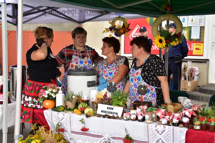 Rogowo. Festyn i piknik z LGD Pałuki Wspólna Sprawa.