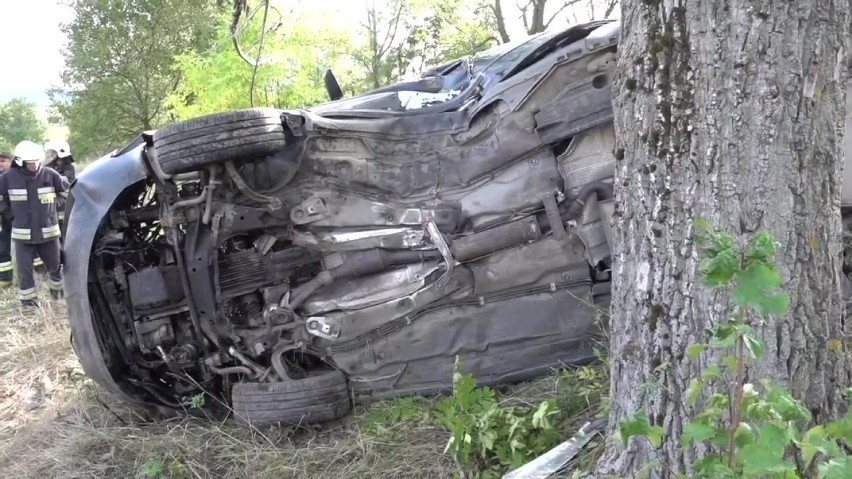 Dolny Śląsk. Pijana kobieta rozbiła się swoim audi na drzewie