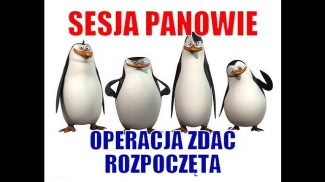 
Wideo: Minister nauki o proteście studentów: będzie miał niewielki zasięg/Dziennik Zachodni

