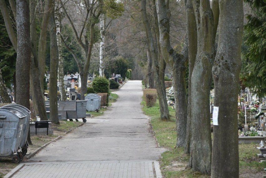 Kto ma płacić za usunięcie drzew i krzewów posadzonych przy grobach? Zielenią na Cmentarzu Komunalnym w Malborku zajmuje się zarządca 