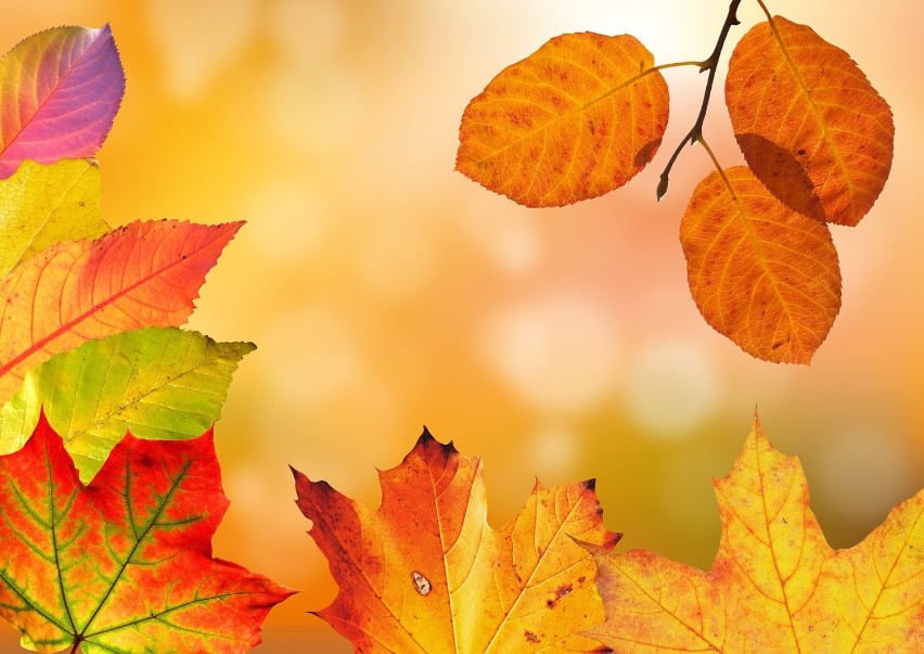 Jesień i jej cudowne kolory