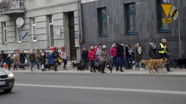 Walentynkowy spacer z bezdomniakami odbył się w niedzielę, 17 lutego. Jego celem było zwrócenie uwagi mieszkańców miasta na możliwość adopcji zwierzaka. Do akcji włączyli się wolontariusze i słupszczanie.