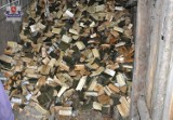 Bracia kradli drewno z lasu. Grozi im 5 lat więzienia