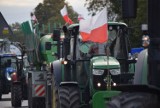 Środowy protest rolników to tylko rozgrzewka - mówi Michał Kołodziejczak ZDJĘCIA