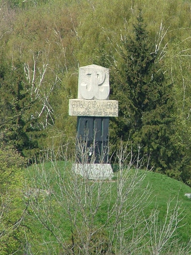 Pomnik w parku miejskim przy ulicy Lubelskiej