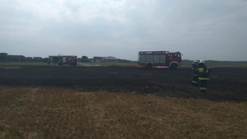 W Smolnie zapaliło się ściernisko. Ogień na polu w gminie Puck gasiły 4 jednostki