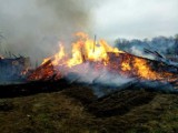 Borkowo. Dramatyczny pożar i bardzo dotkliwe straty ZDJĘCIA, WIDEO - nowe informacje
