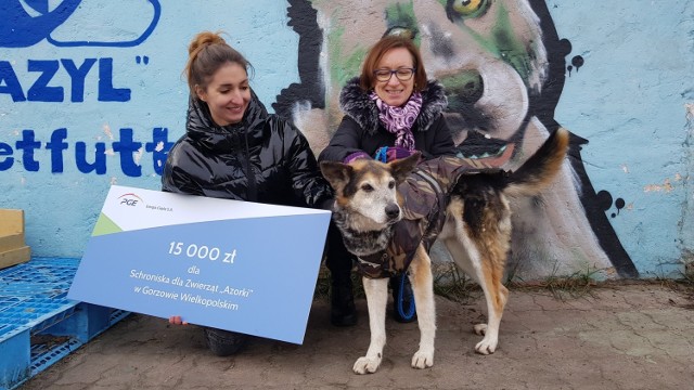 Cztery gorzowskie instytucje dostały od elektrociepłowni łącznie 75 tys. zł.