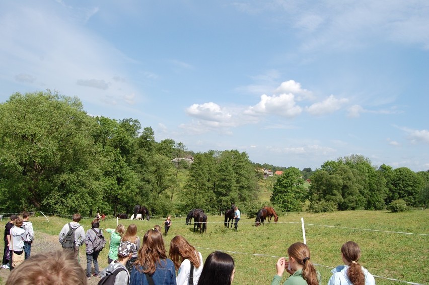 Siemianowice: Cogito w Śląskim Ogrodzie Botanicznym