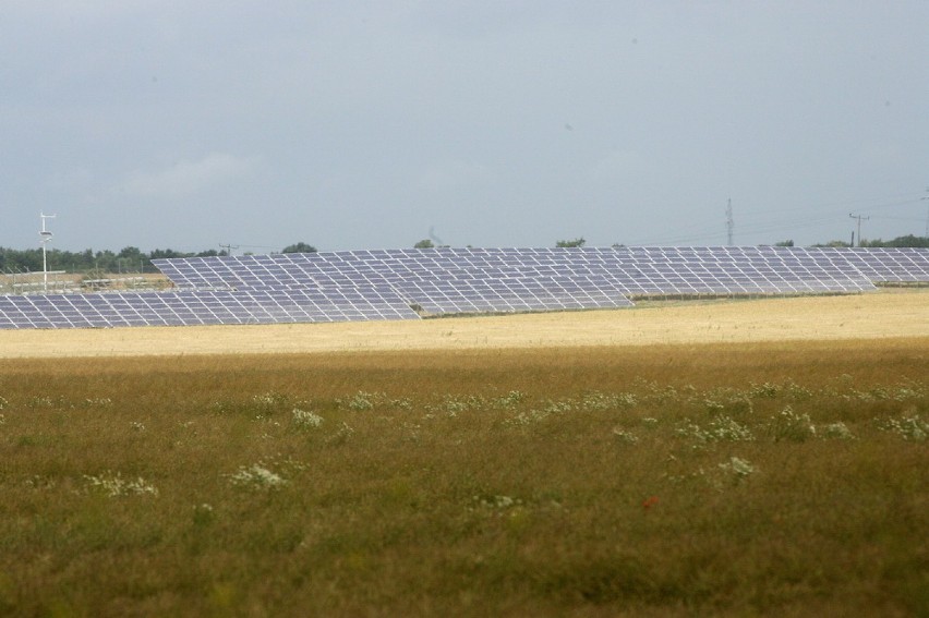 Budowa farmy solarnej pod Legnicą (ZDJĘCIA)
