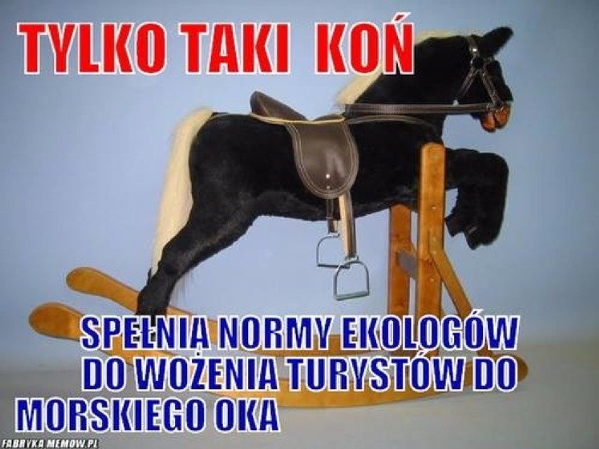 Zobacz najlepsze memy o Zakopanem [GALERIA]