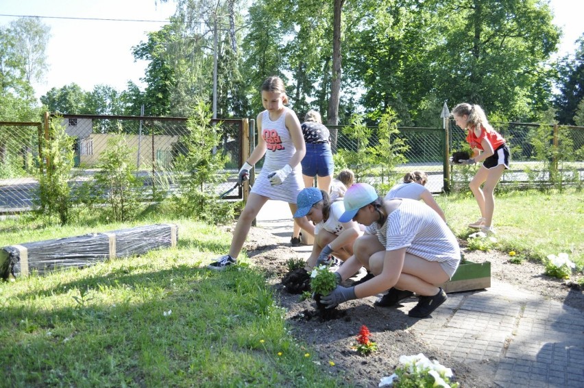 Dzieci dzieciom - siódmoklasiści ze Złotowa dali przykład